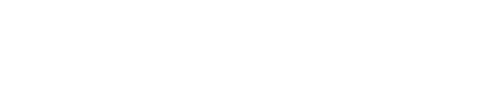 NinjaOne logo